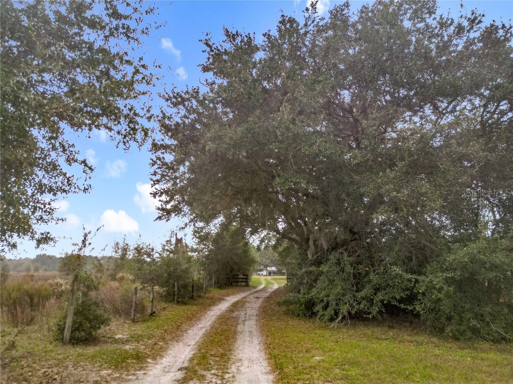 12521 SW Highway 484 Dunnellon FL 34432 OM714039 image10