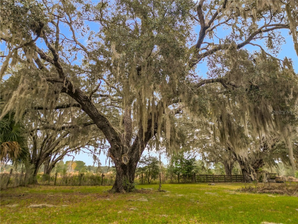 12521 SW Highway 484 Dunnellon FL 34432 OM714039 image28