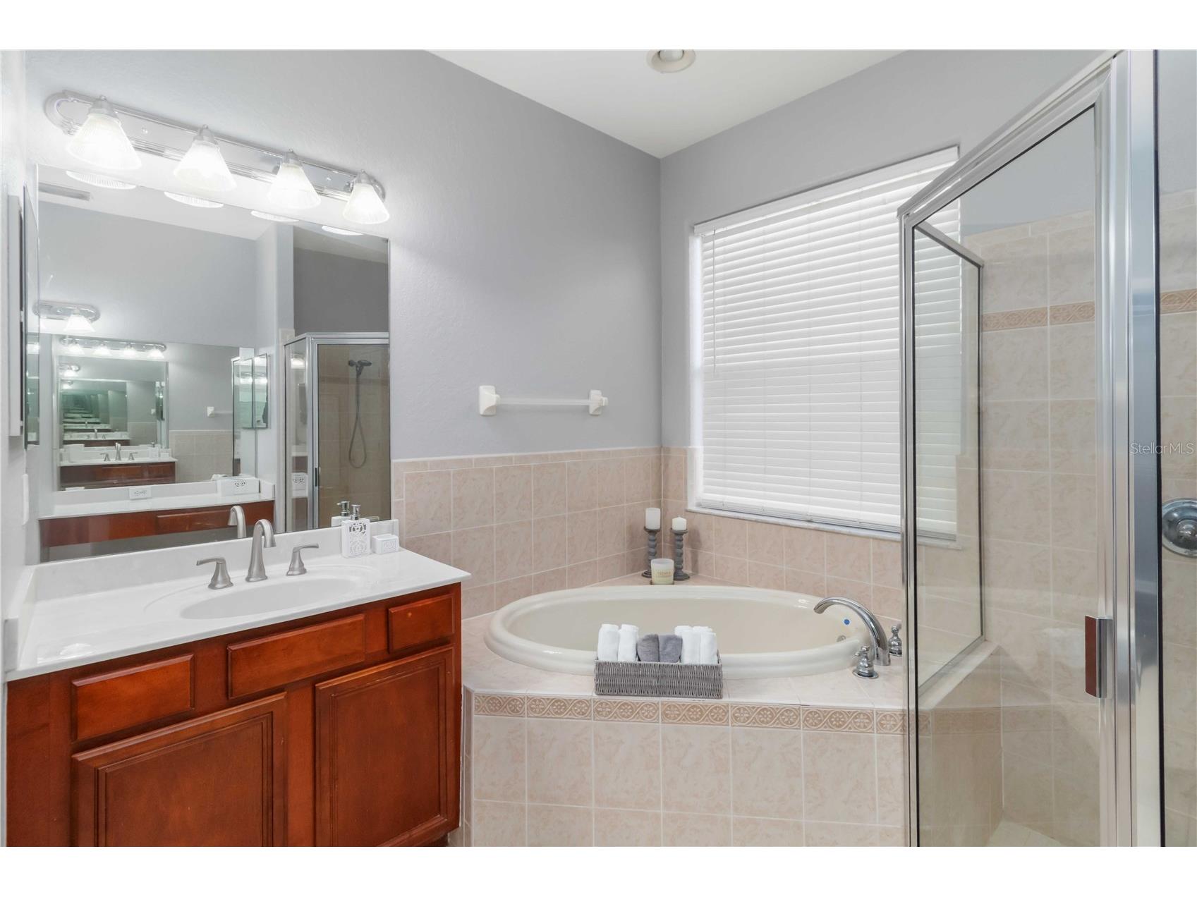12522 Burgess Hill Drive Riverview FL 33579 TB8510688 image19