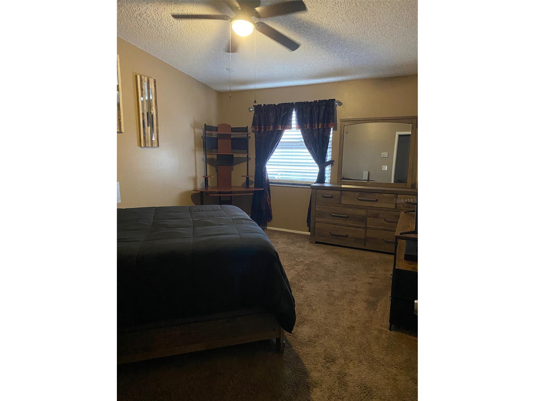 12522 Castle Hill Drive Tampa FL 33624 TB8471893 image11