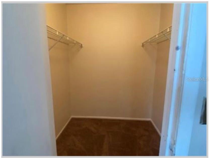 12522 Castle Hill Drive Tampa FL 33624 TB8471893 image12