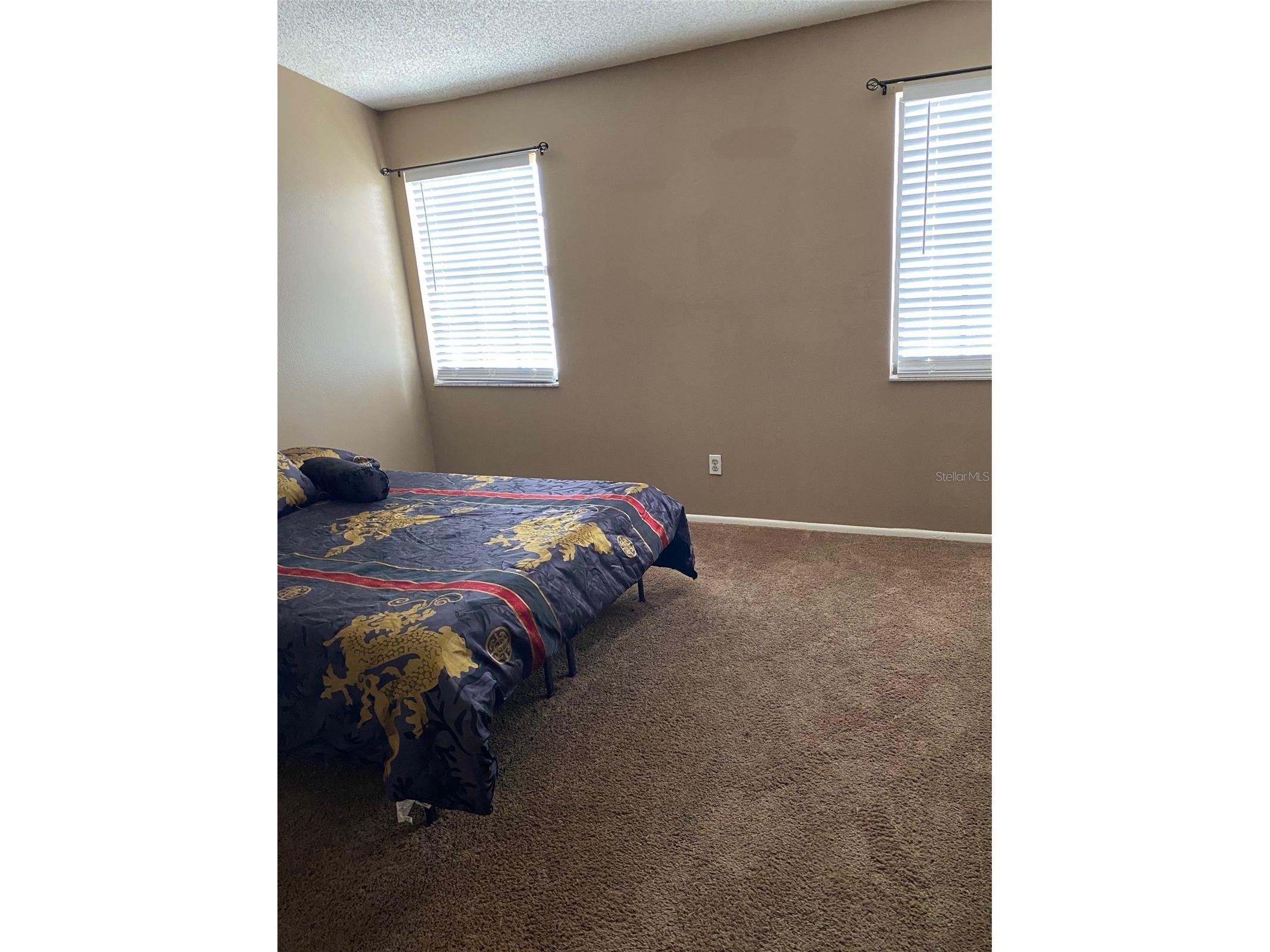 12522 Castle Hill Drive Tampa FL 33624 TB8471893 image13