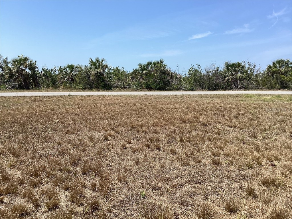 12522 Quail Drive Placida FL 33946 D6129867 image1