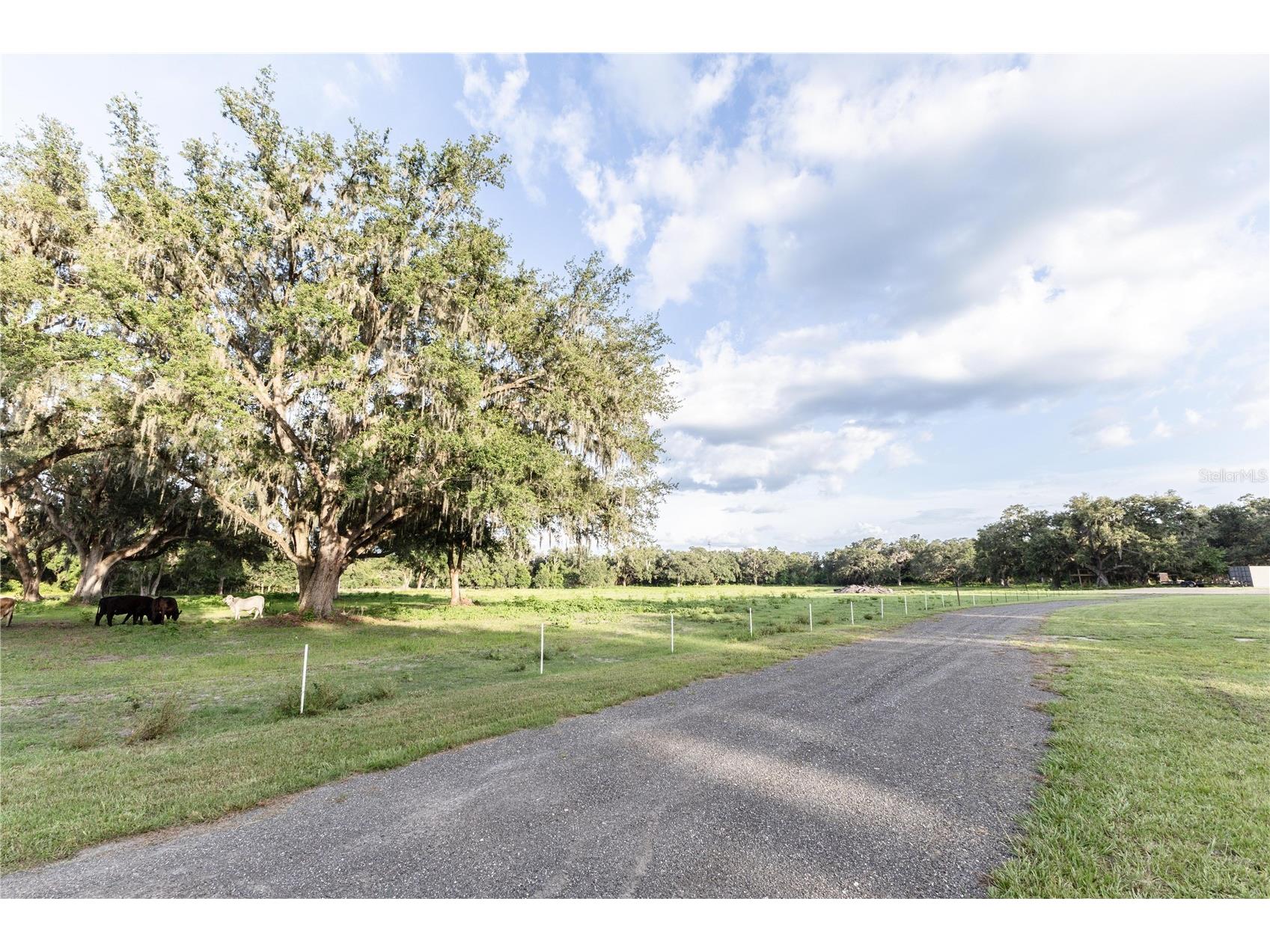 12523 Cr 721 Webster FL 33597 G5112277 image58
