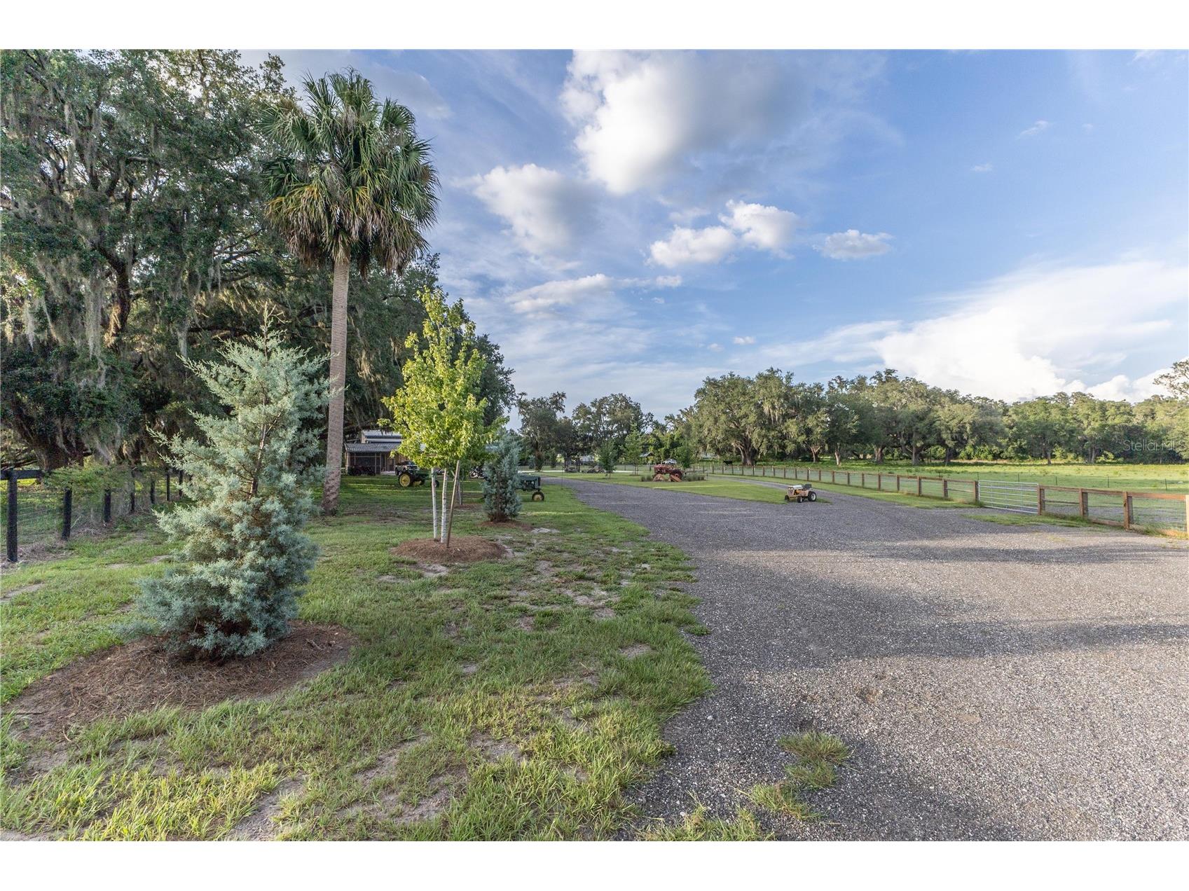 12523 Cr 721 Webster FL 33597 G5112277 image59