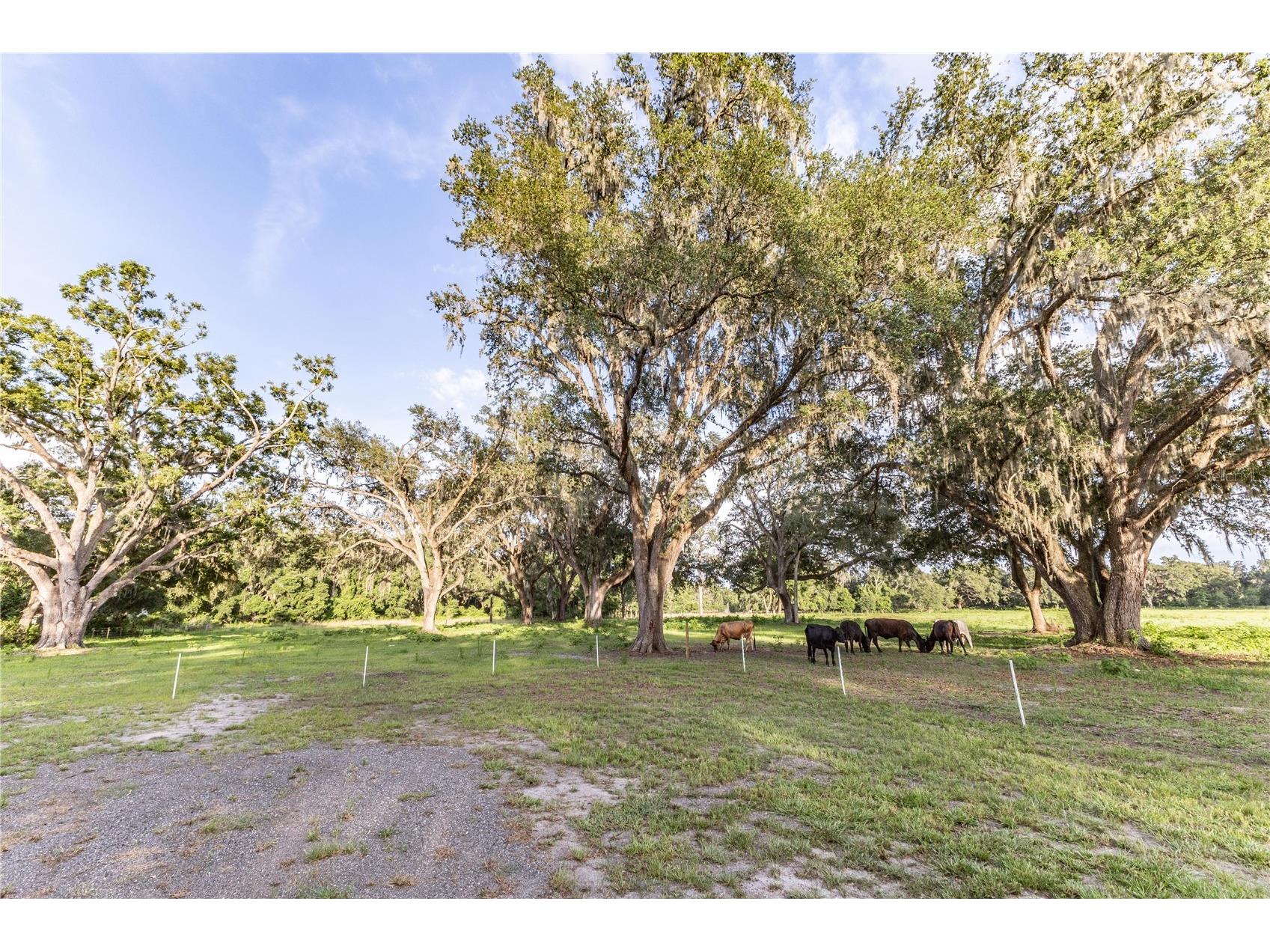 12523 Cr 721 Webster FL 33597 G5112277 image60