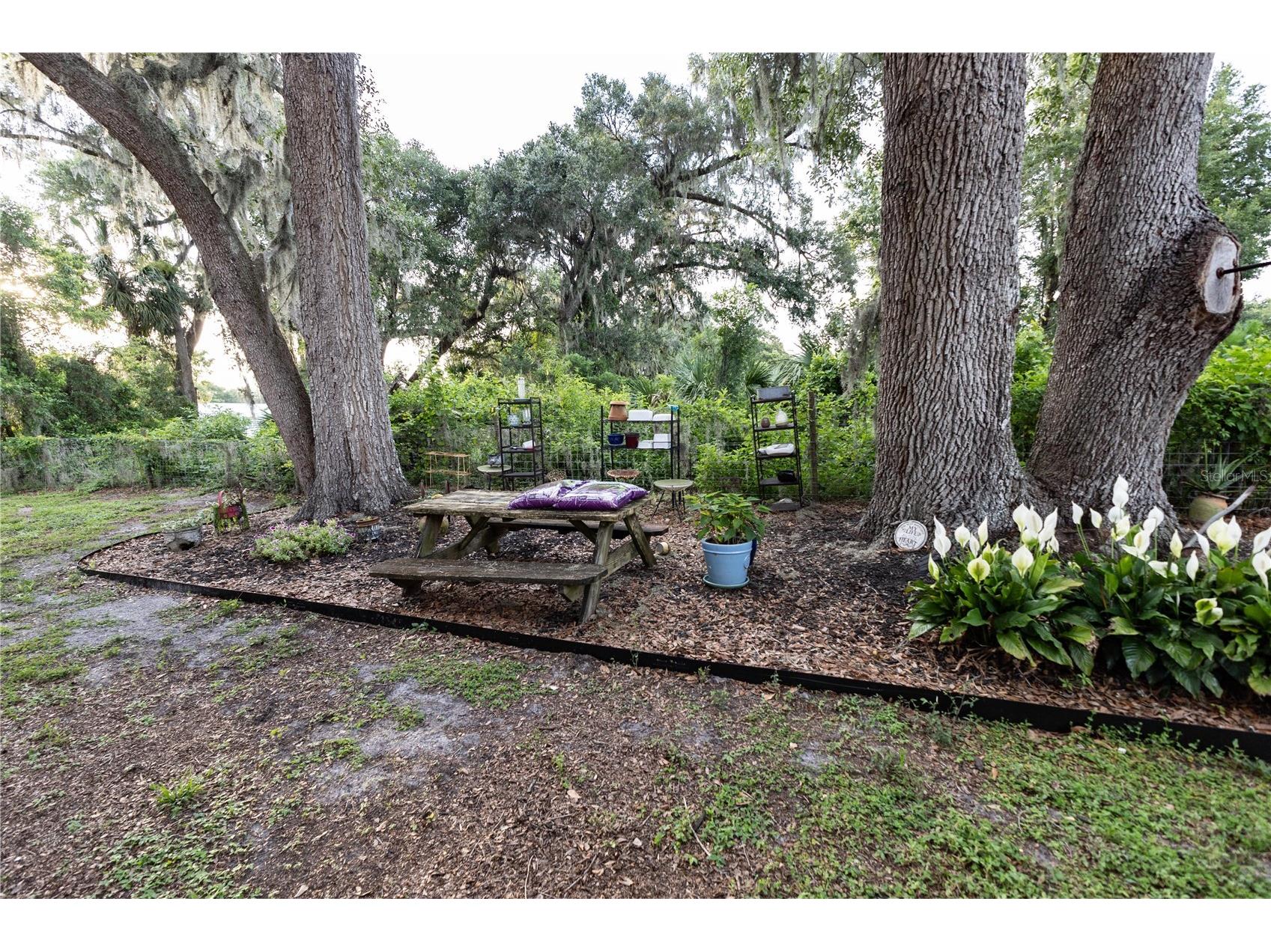 12523 Cr 721 Webster FL 33597 G5112277 image66