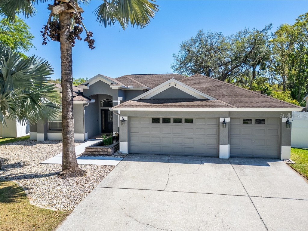 12523 River Birch Drive Riverview FL 33569 TB8360699 image1
