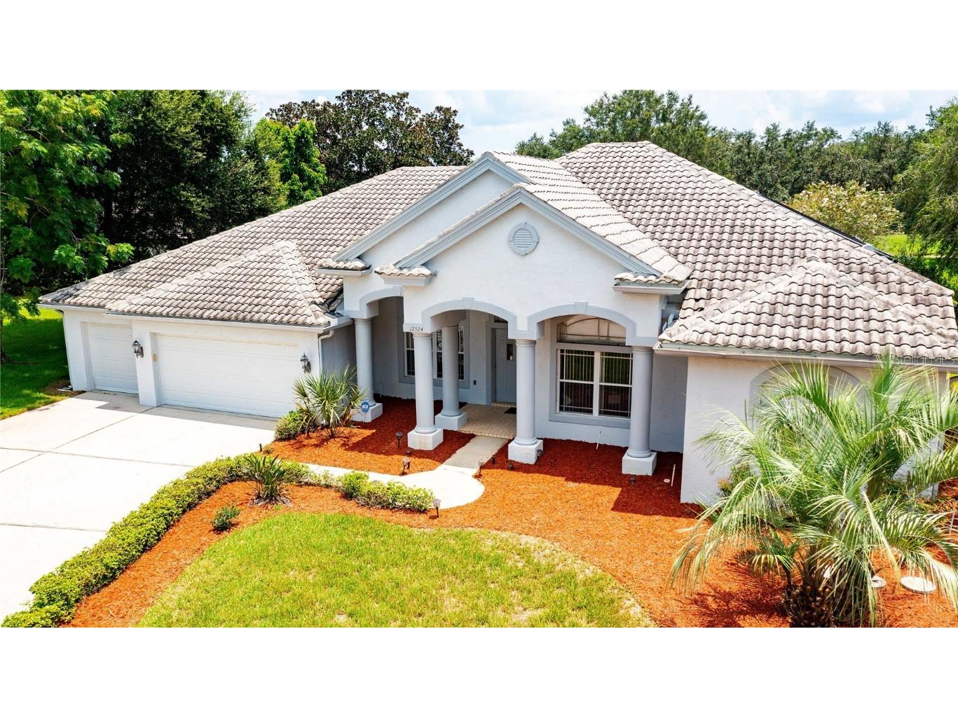 12524 Lake Jovita Boulevard Dade City FL 33525 T3461843 image1