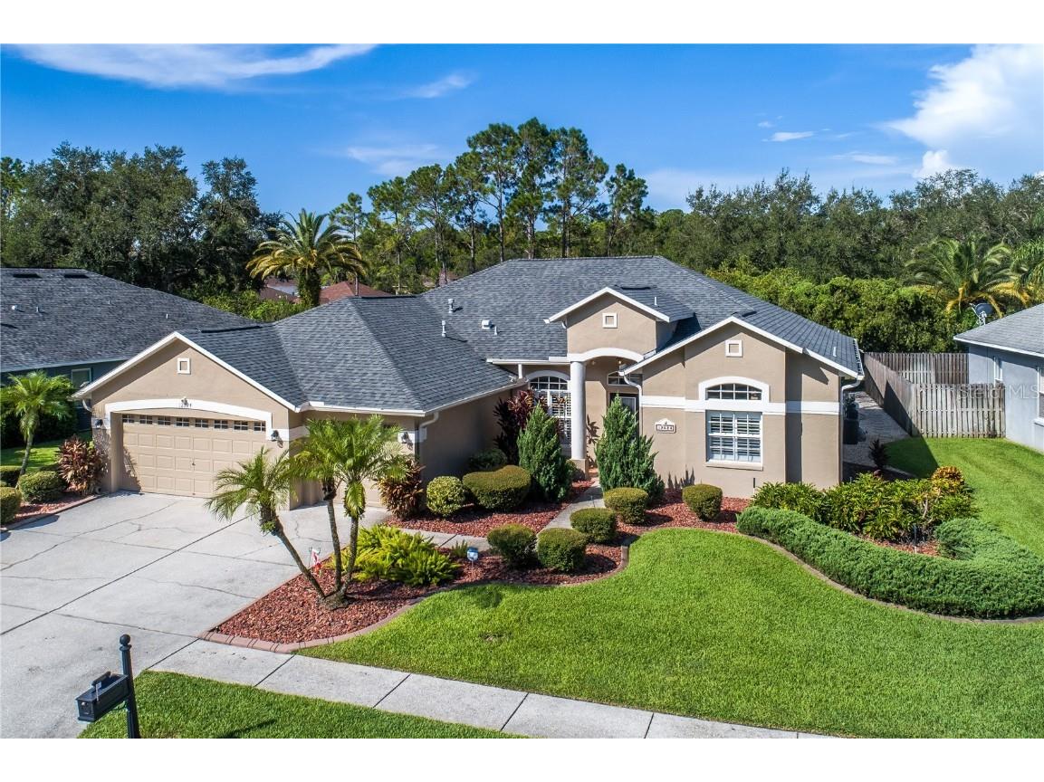 12524 Leatherleaf Drive Tampa FL 33626 TB8413007 image1