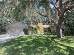 12525 Pecan Tree Drive Hudson FL 34669 U8210069 image1