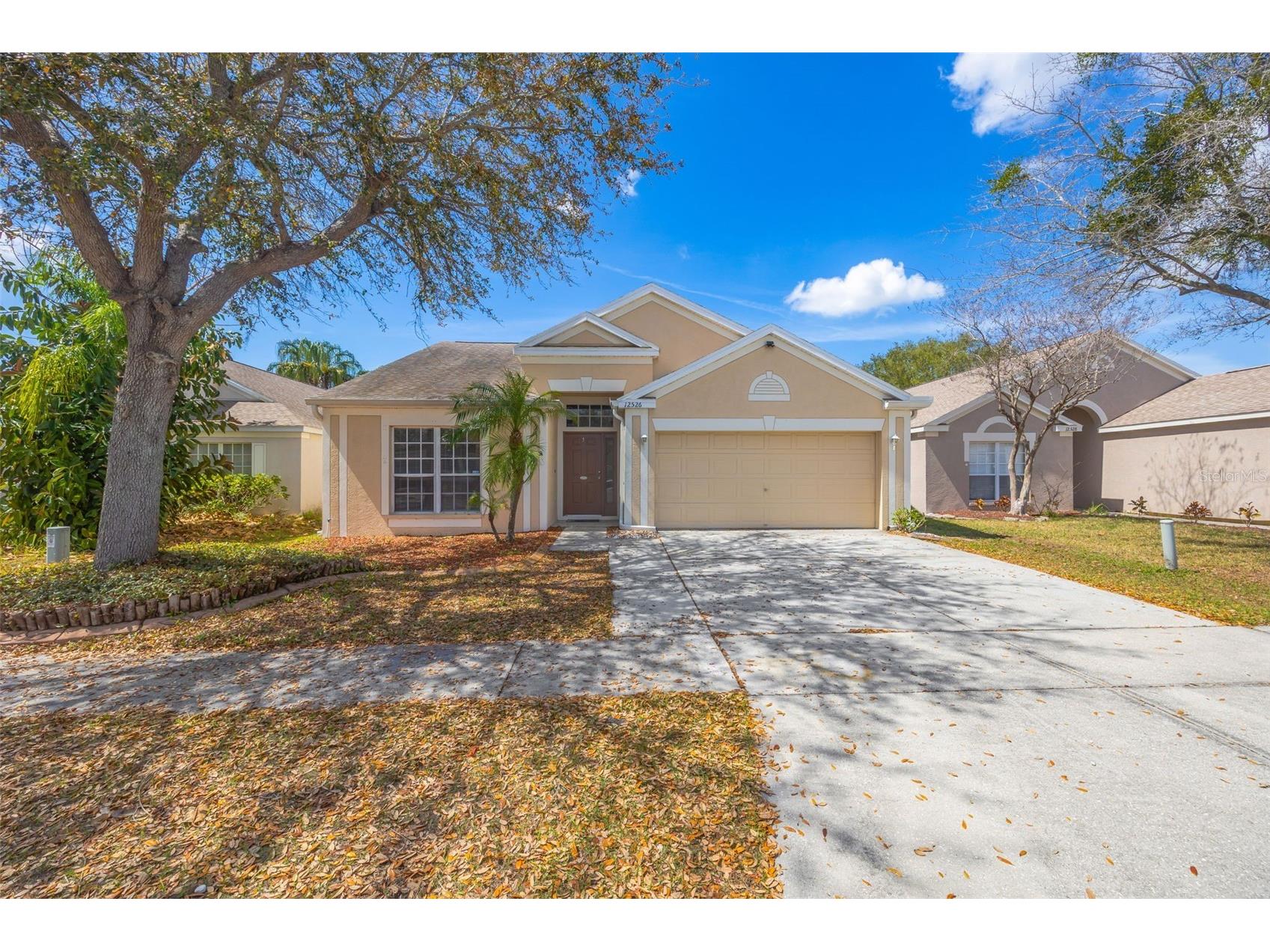 12526 Dawn Vista Drive Riverview FL 33578 TB8485062 image1