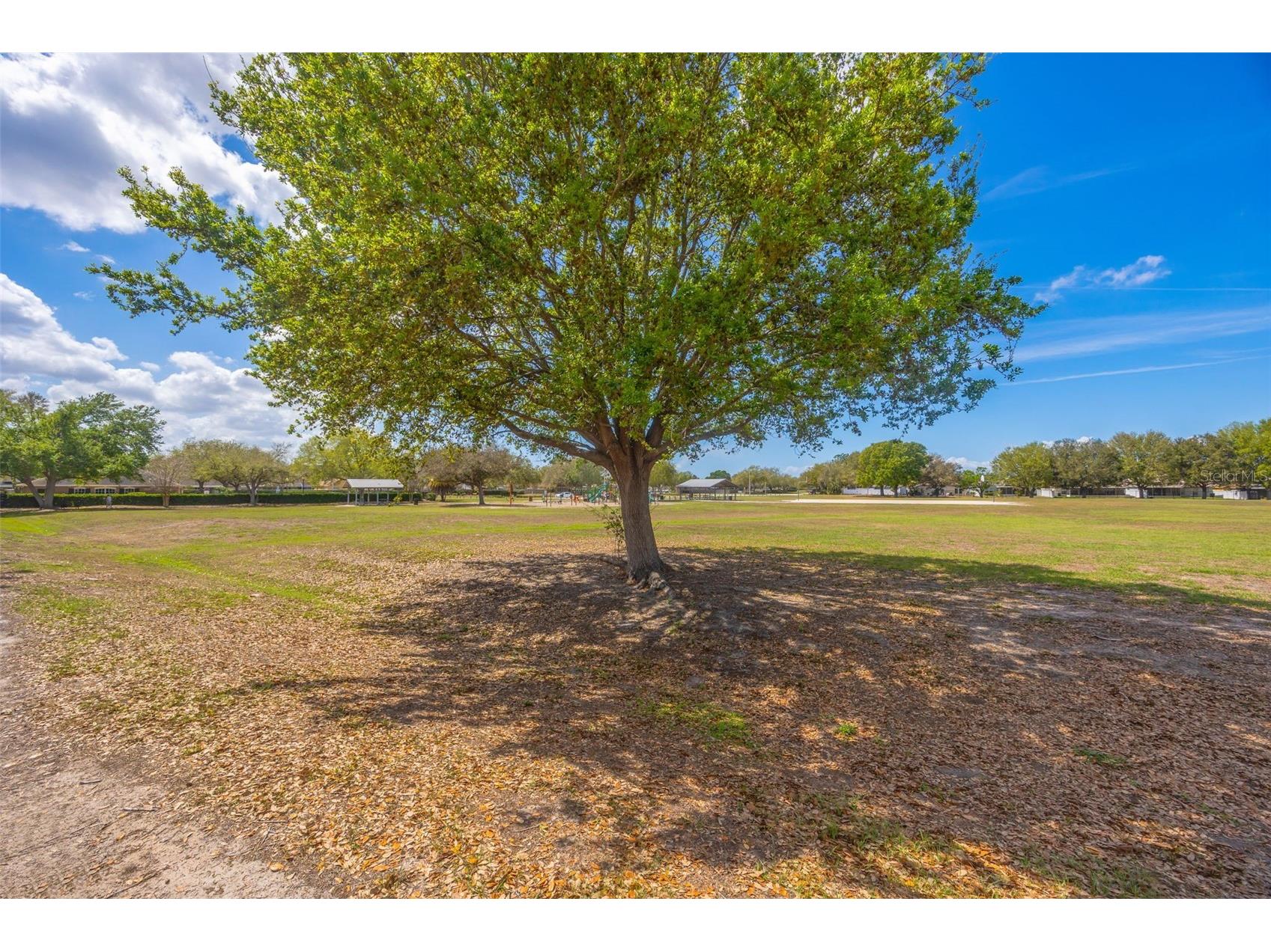 12526 Dawn Vista Drive Riverview FL 33578 TB8485062 image16