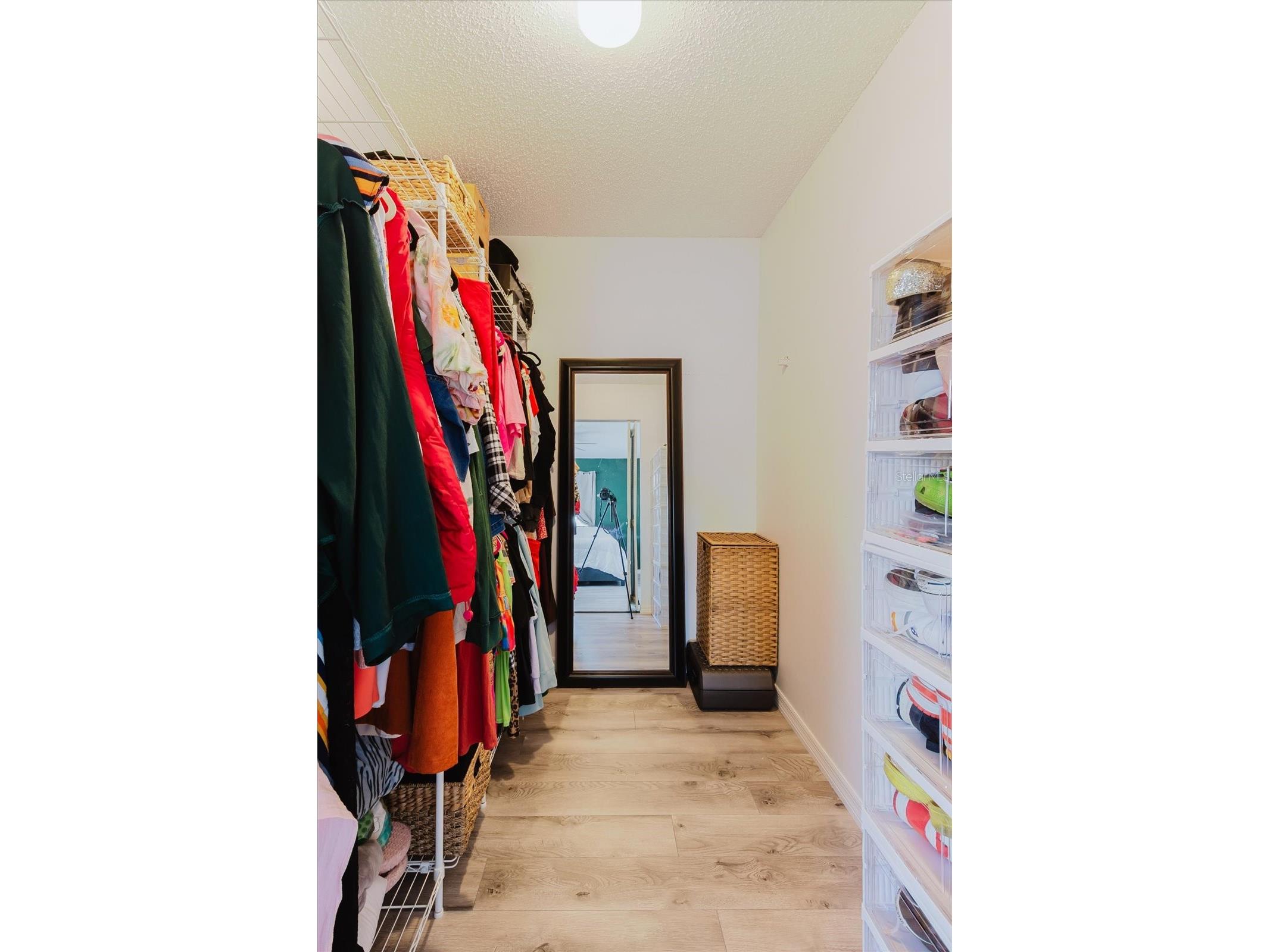 12526 Elgin Boulevard Spring Hill FL 34609 TB8503330 image19