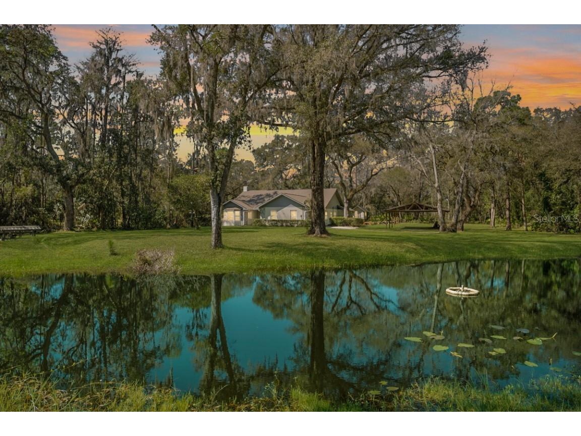 12526 Lem Simmons Street Thonotosassa FL 33592 T3428784 image1