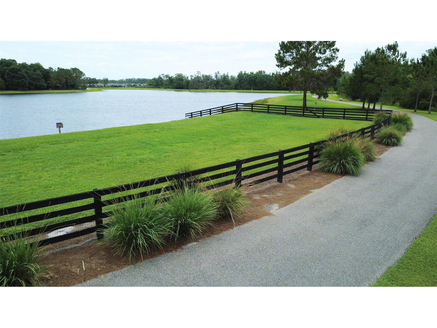 12526 Rangeland Boulevard Odessa FL 33556 O6412573 image10