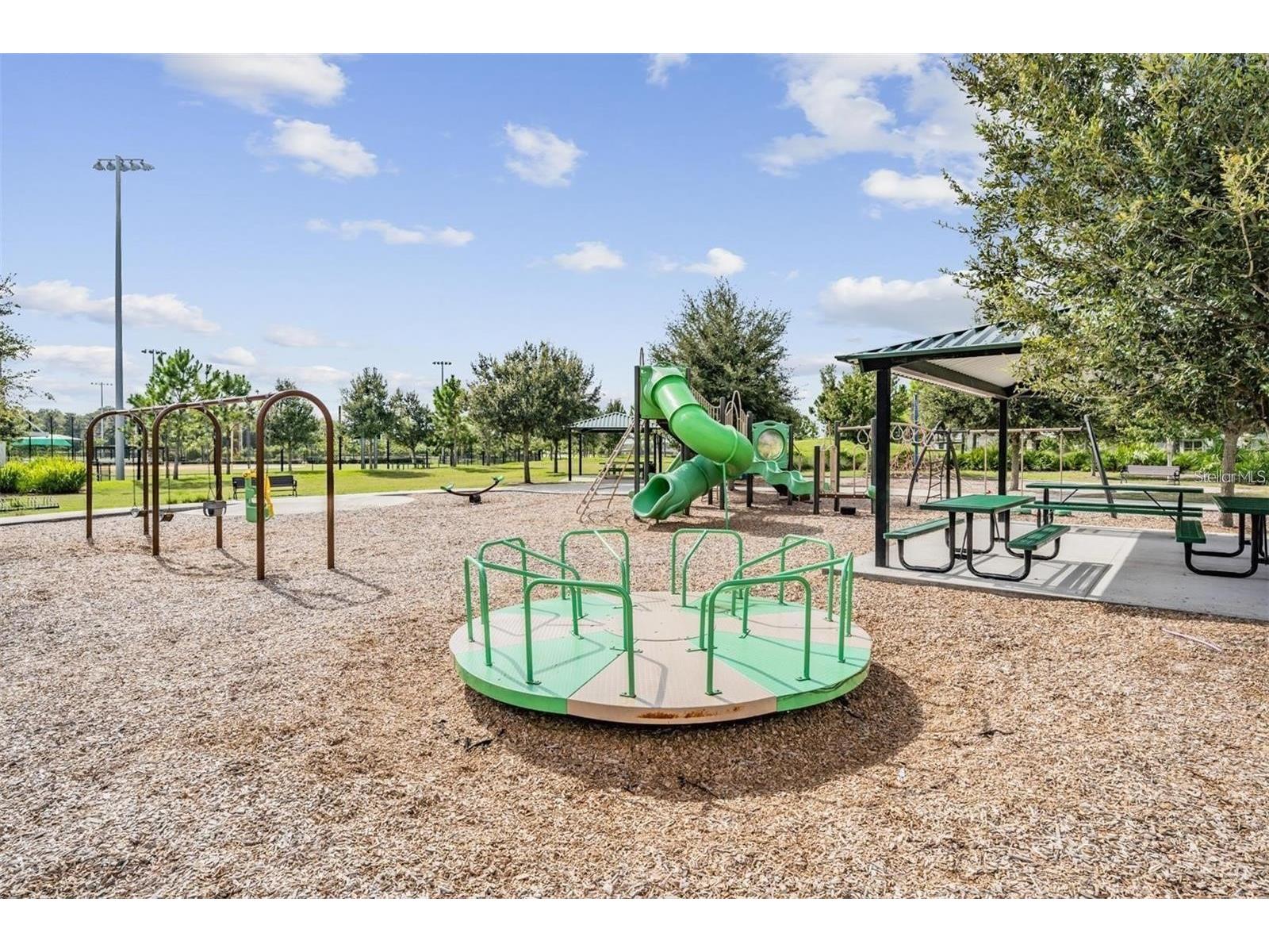 12526 Rangeland Boulevard Odessa FL 33556 O6412573 image13
