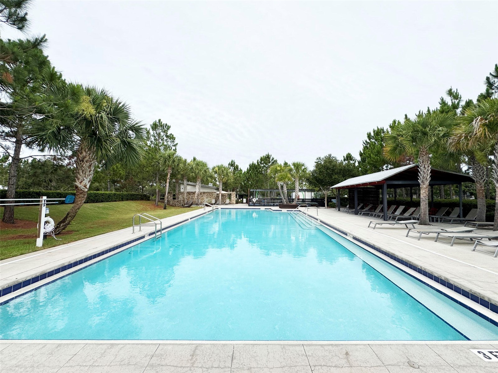 12526 Rangeland Boulevard Odessa FL 33556 O6412573 image16
