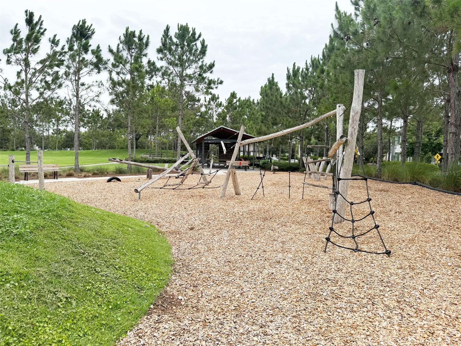 12526 Rangeland Boulevard Odessa FL 33556 O6412573 image21