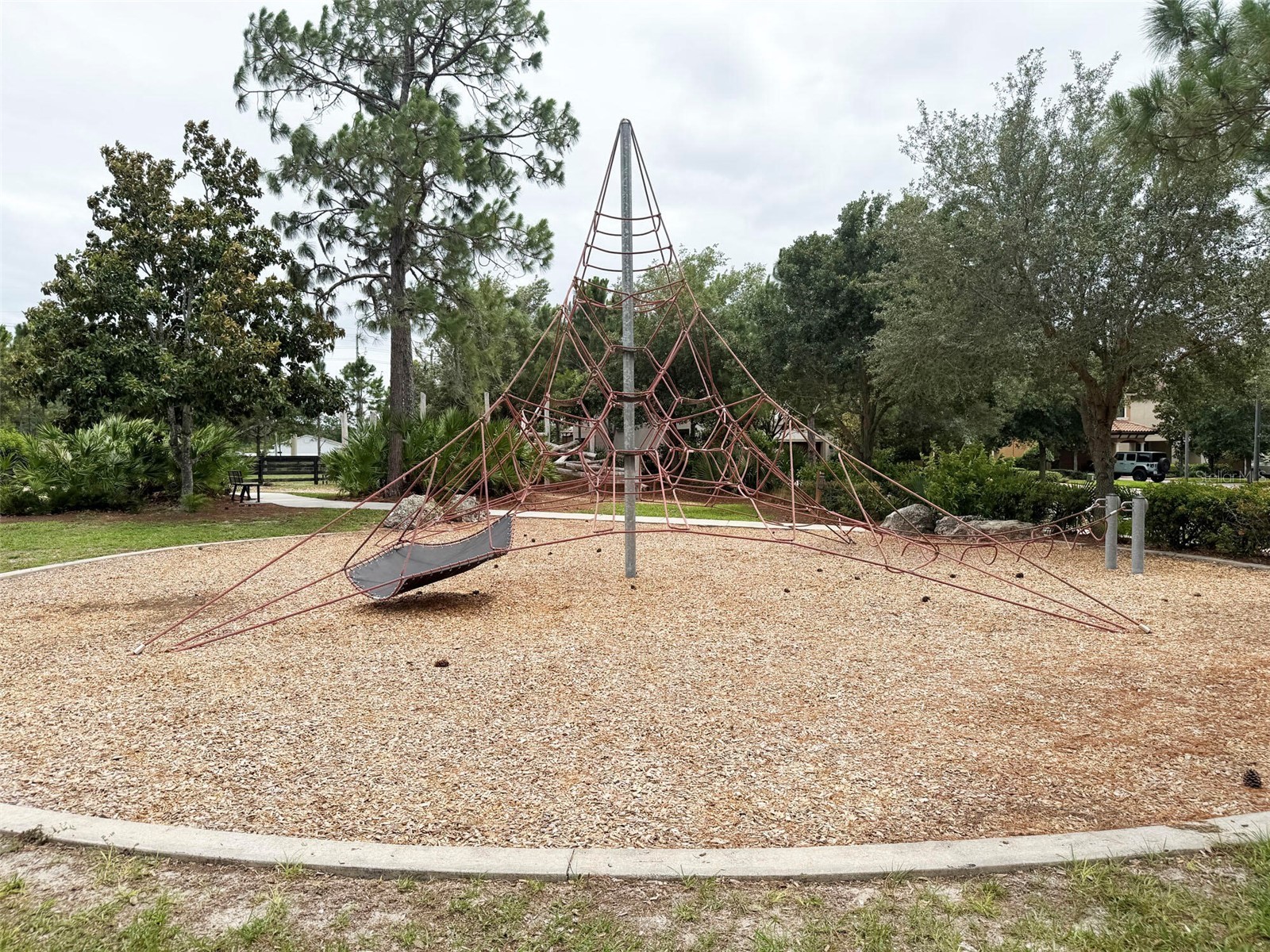 12526 Rangeland Boulevard Odessa FL 33556 O6412573 image22