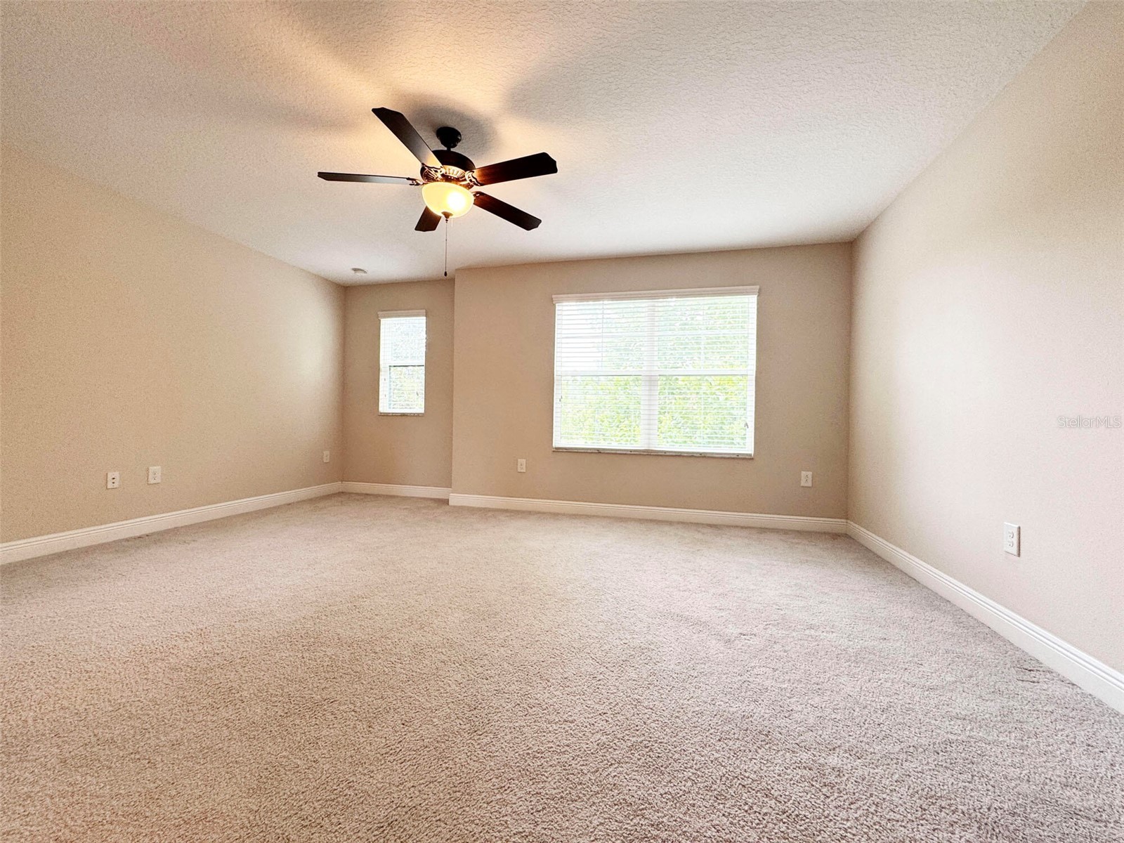 12526 Rangeland Boulevard Odessa FL 33556 O6412573 image45