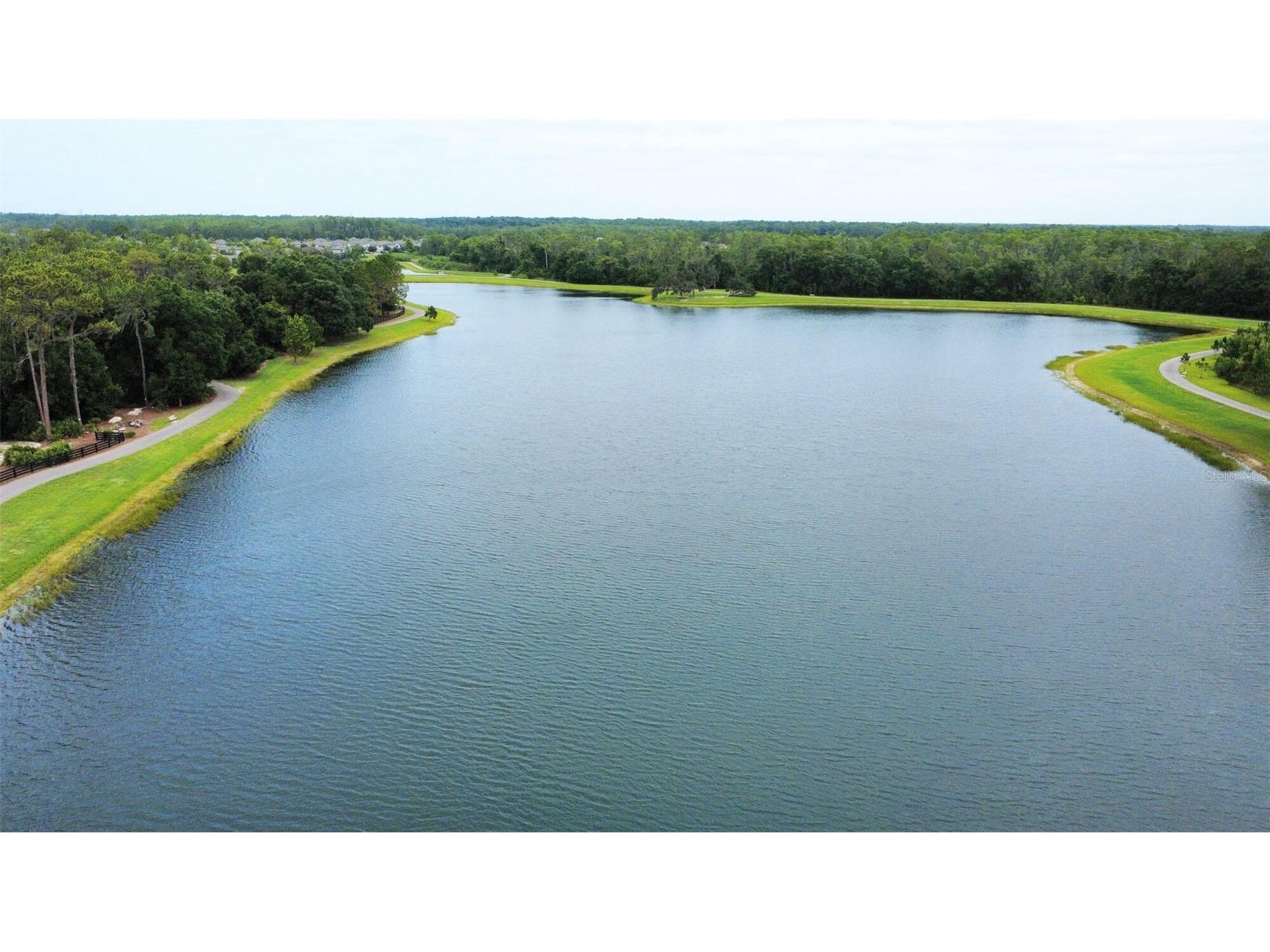 12526 Rangeland Boulevard Odessa FL 33556 O6412573 image6