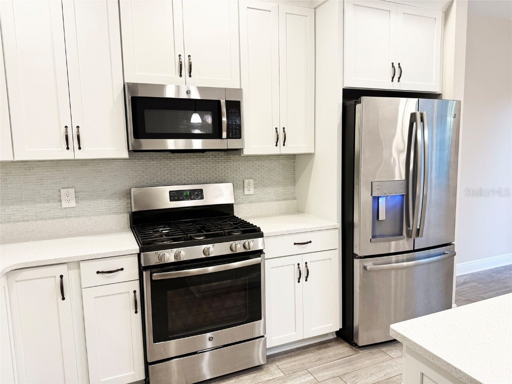 12526 Rangeland Boulevard Odessa FL 33556 TB8438655 image11