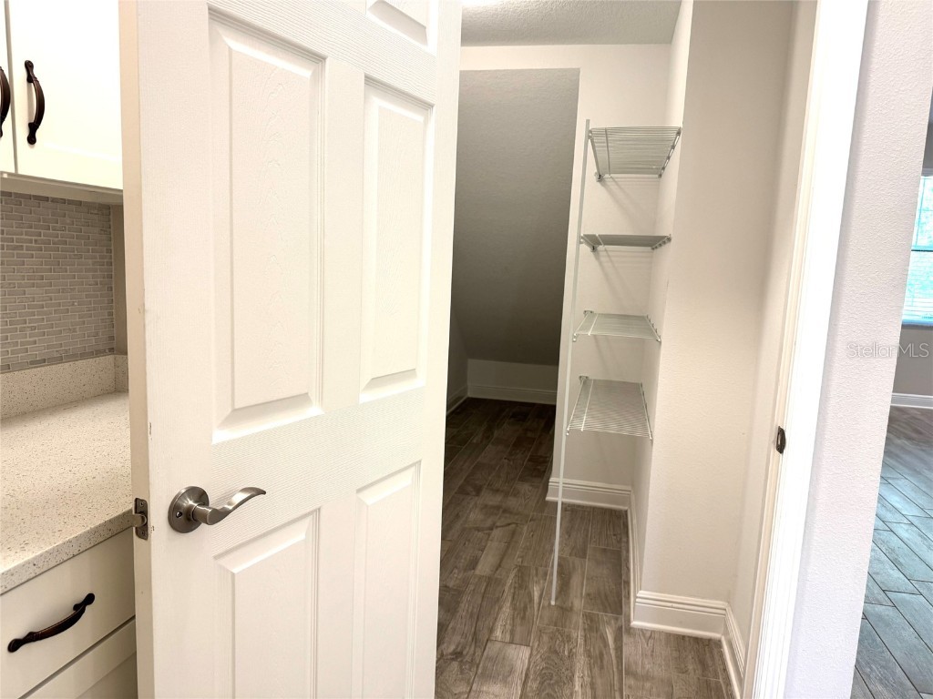 12526 Rangeland Boulevard Odessa FL 33556 TB8438655 image19