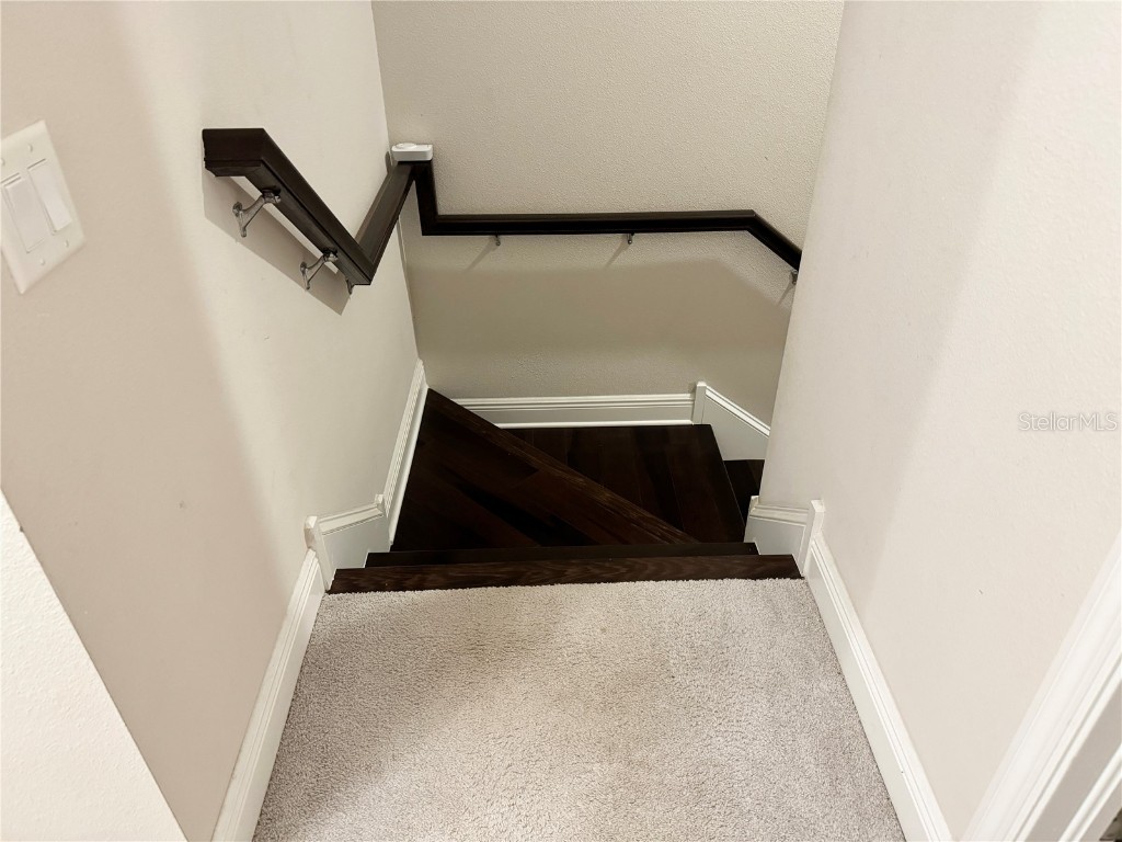 12526 Rangeland Boulevard Odessa FL 33556 TB8438655 image25