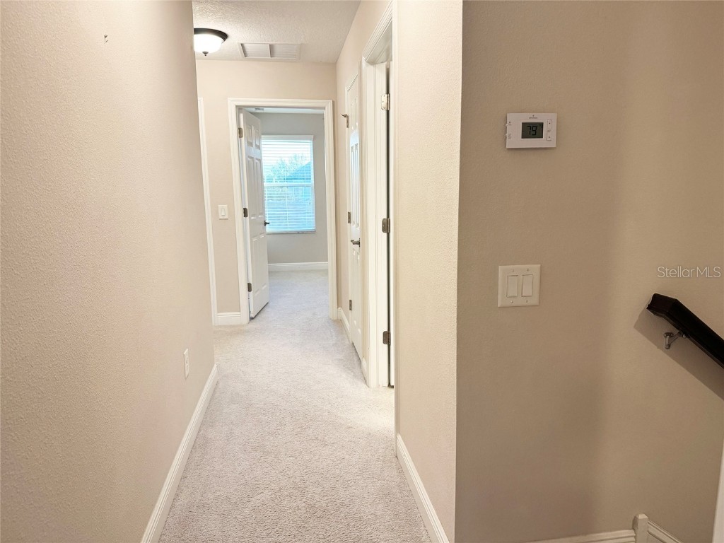 12526 Rangeland Boulevard Odessa FL 33556 TB8438655 image34