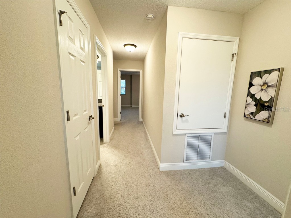 12526 Rangeland Boulevard Odessa FL 33556 TB8438655 image35