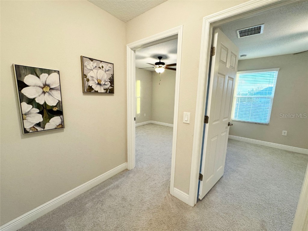 12526 Rangeland Boulevard Odessa FL 33556 TB8438655 image36