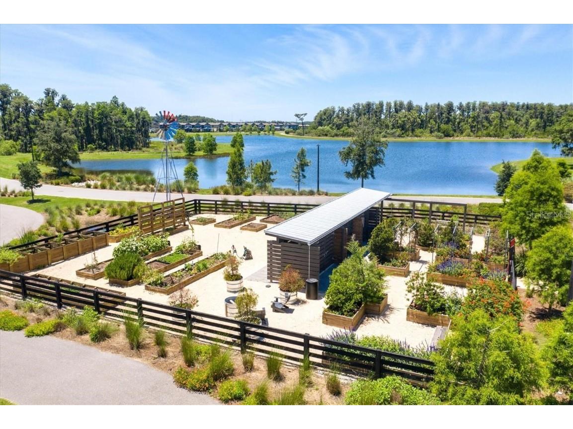 12526 Rangeland Boulevard Odessa FL 33556 TB8438655 image67