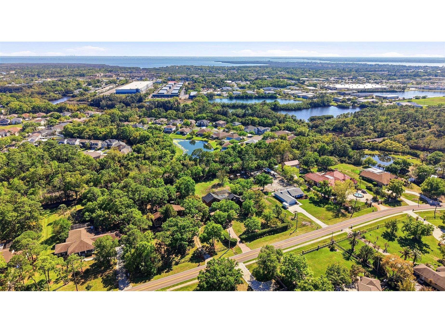 12526 Twin Branch Acres Road Tampa FL 33626 TB8489601 image45