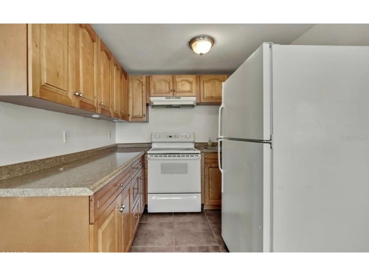 12527 1st Isle Hudson FL 34667 TB8477753 image14