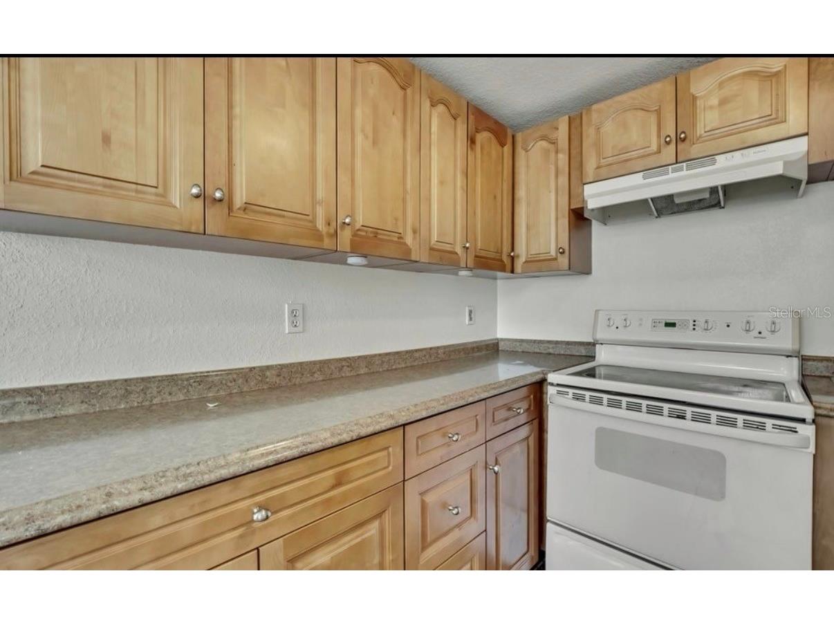 12527 1st Isle Hudson FL 34667 TB8477753 image15