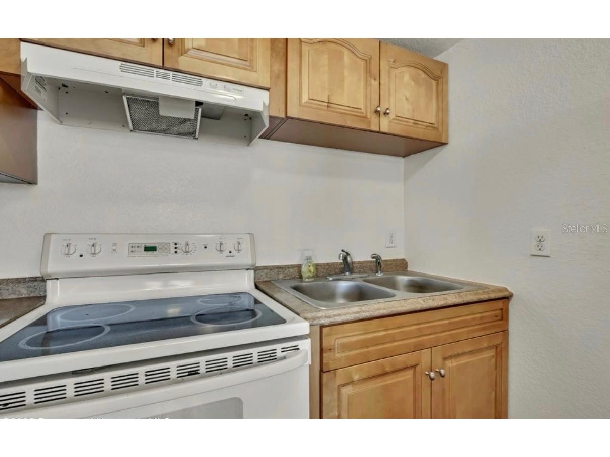 12527 1st Isle Hudson FL 34667 TB8477753 image16