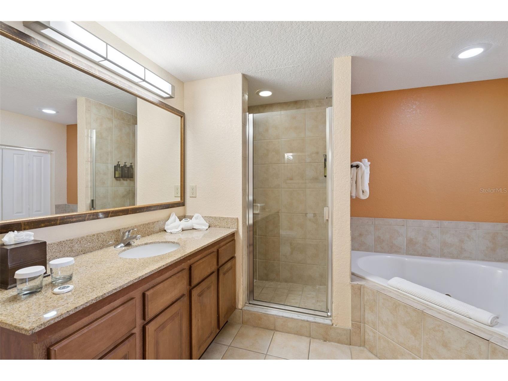 12527 Floridays Resort Drive #601E Orlando FL 32821 S5144512 image19