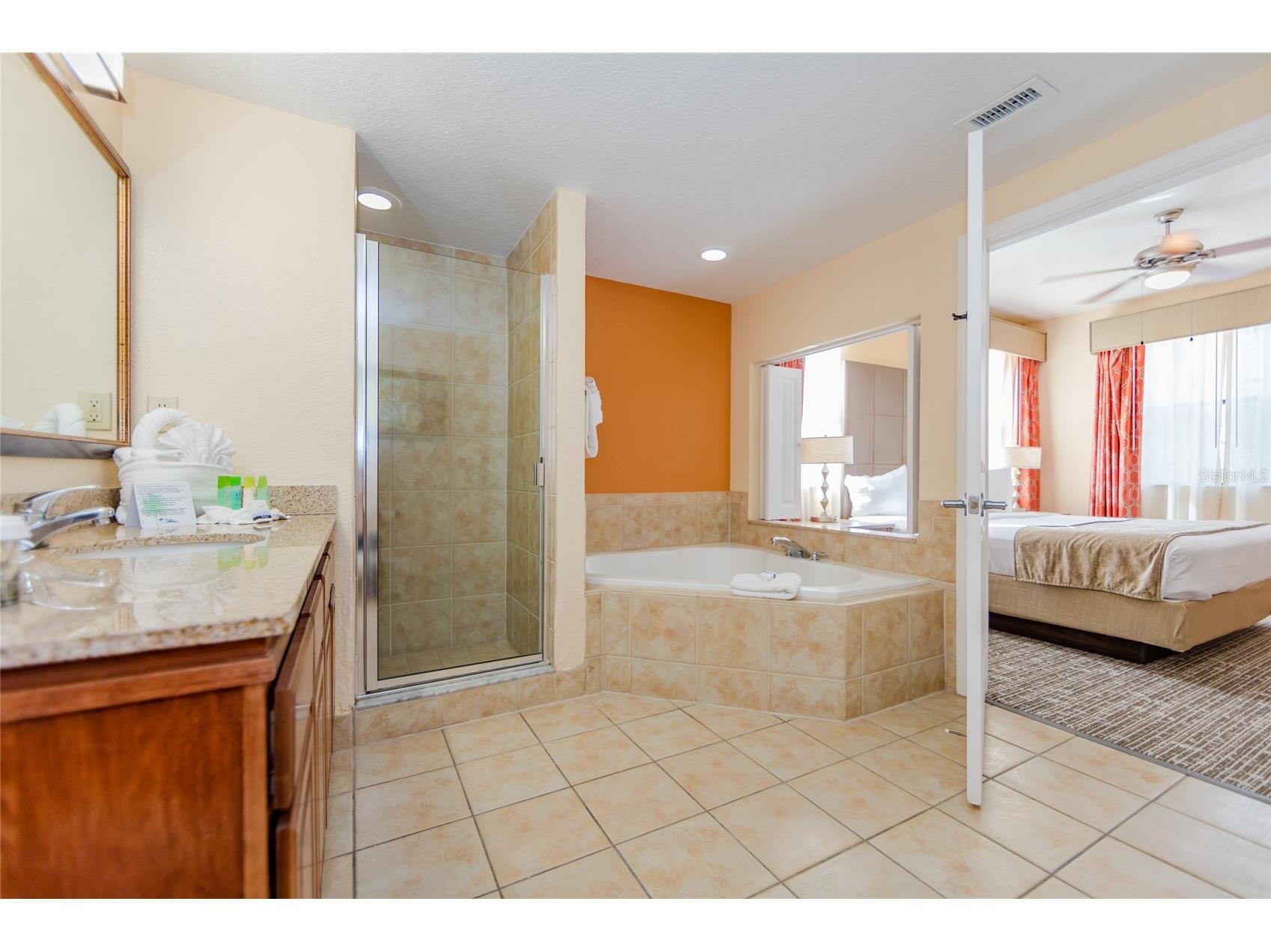 12527 Floridays Resort Drive #605-E Orlando FL 32821 O6391362 image28