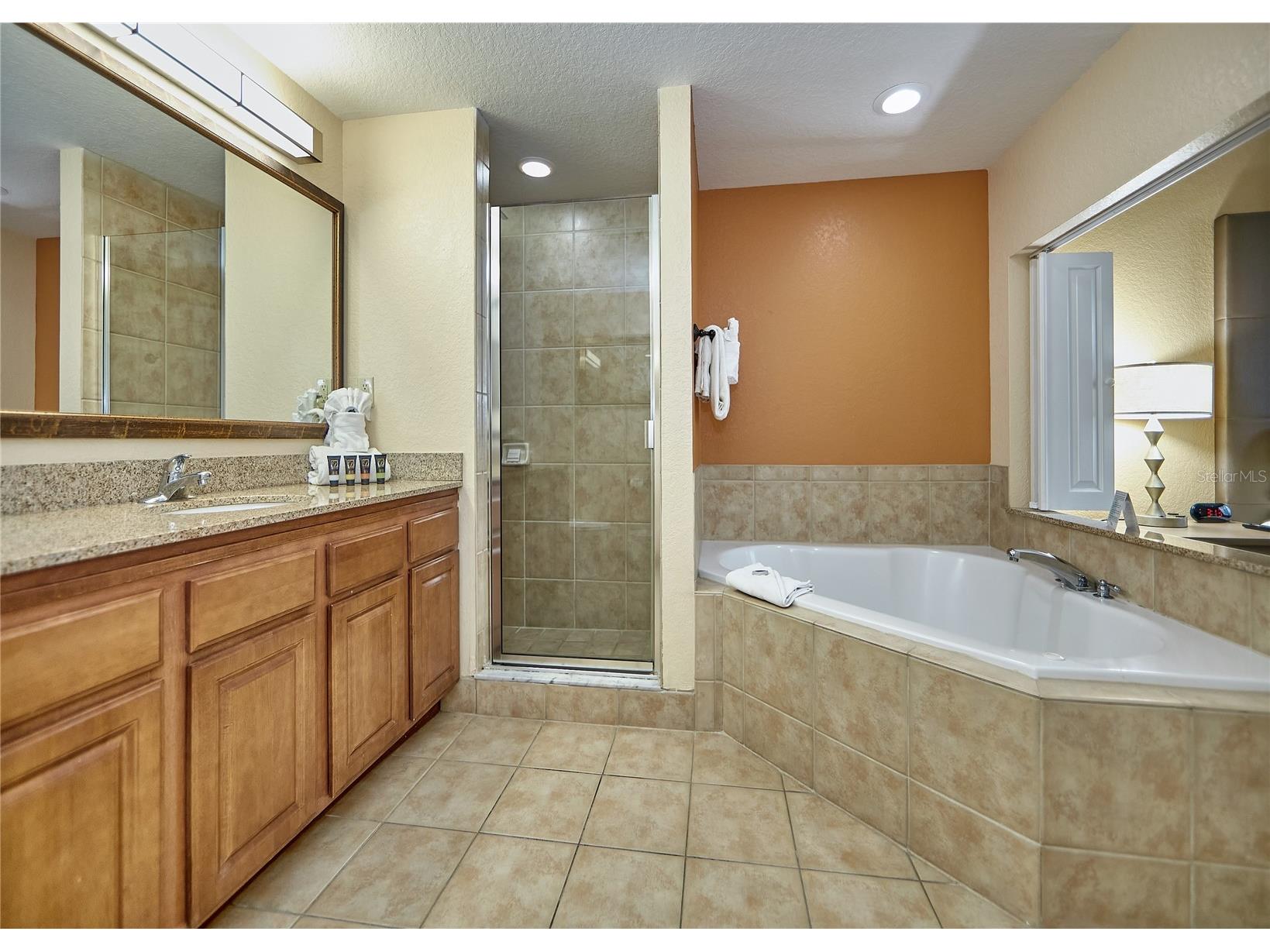 12527 Floridays Resort Drive #605-E Orlando FL 32821 O6391362 image37