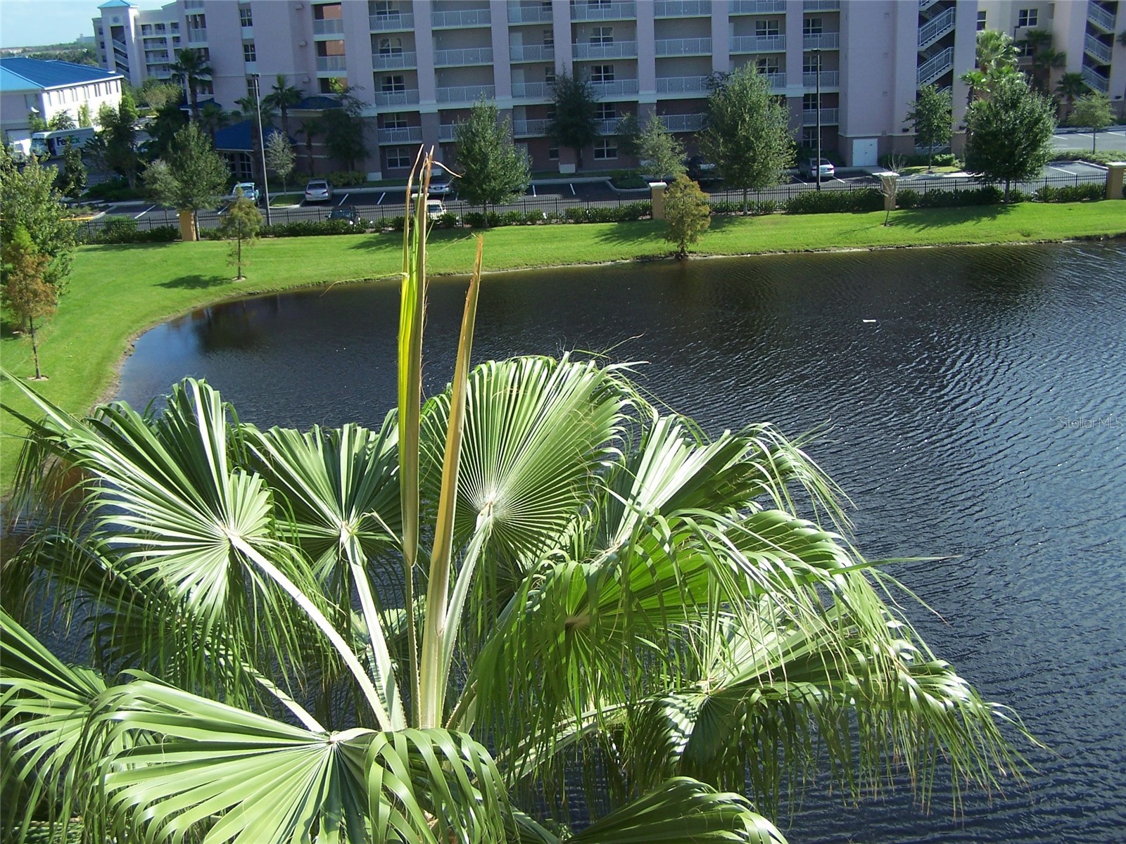 12527 Floridays Resort Drive #605-E Orlando FL 32821 O6391362 image41