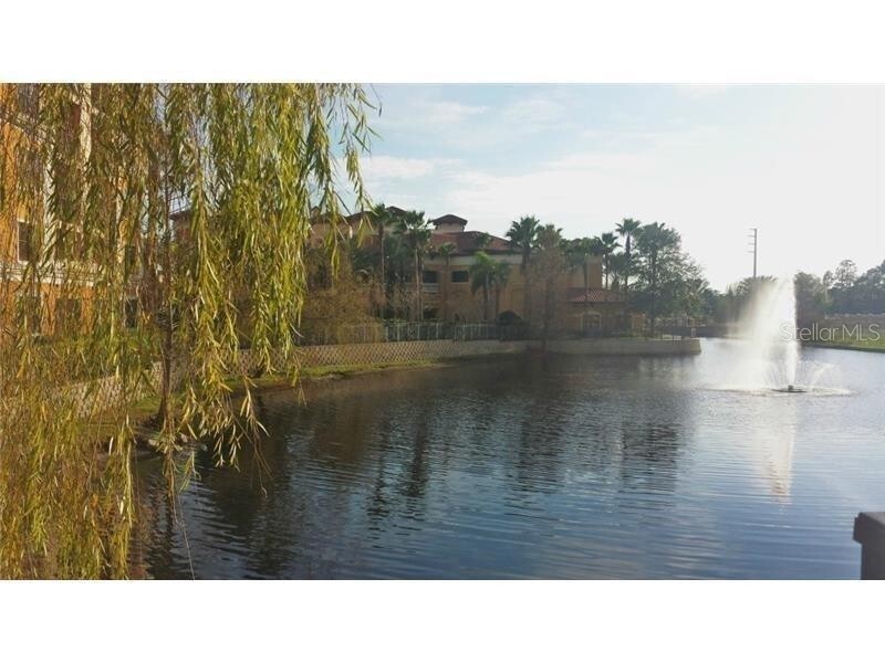 12527 Floridays Resort Unit 101-E Drive Orlando FL 32821 O6330299 image8