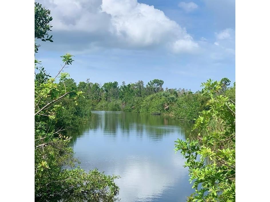 12527 Toadfish Court Placida FL 33946 D6142580 image6