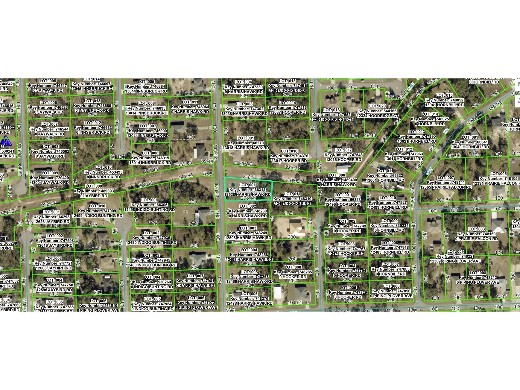 12528 Harris Hawk Road Weeki Wachee FL 34614 C7523448 image1