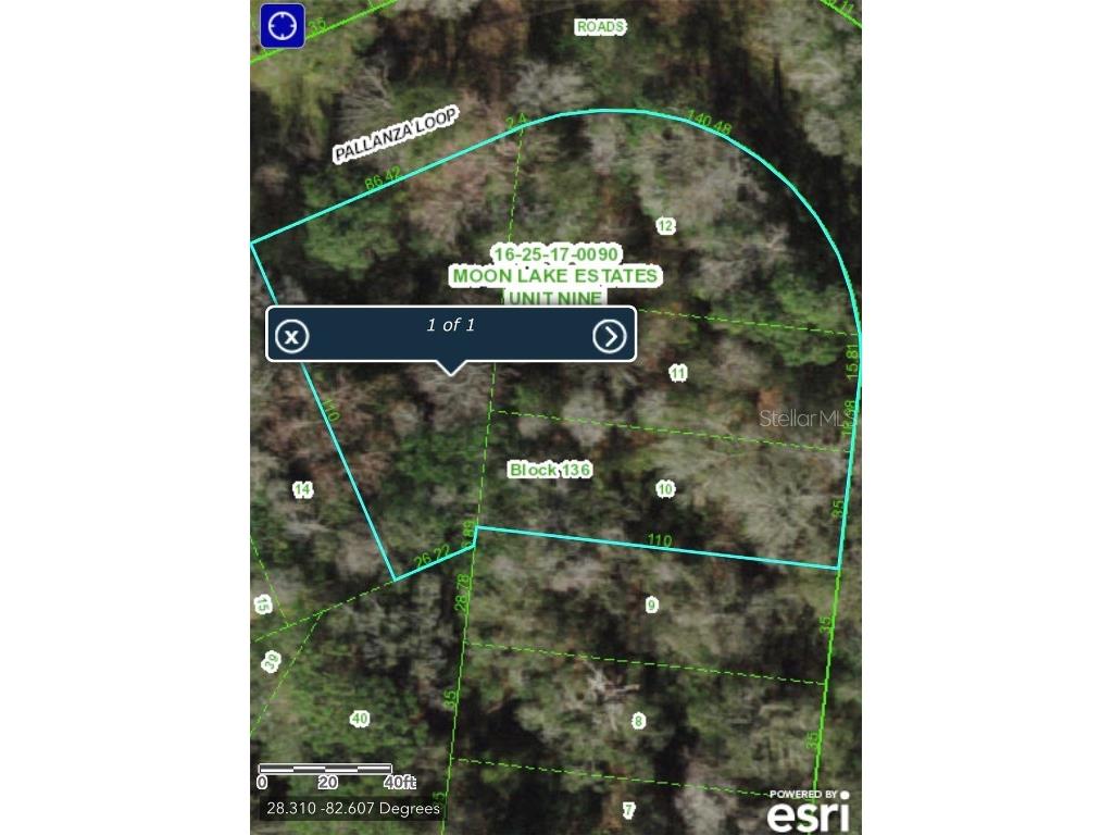 12528 Pallanza Loop New Port Richey FL 34654 W7846946 image1