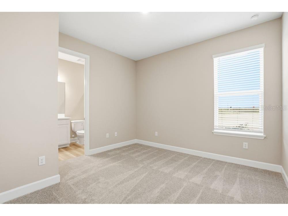 12528 Wharf Terrace Palmetto FL 34221 TB8416188 image25