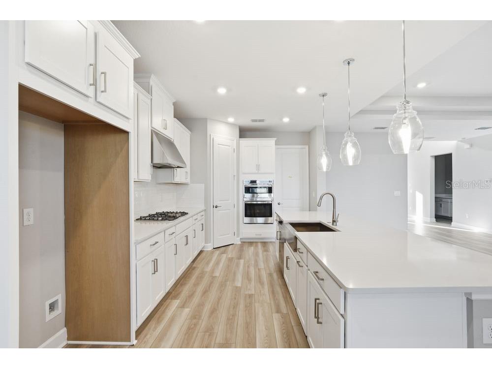 12528 Wharf Terrace Palmetto FL 34221 TB8416188 image3
