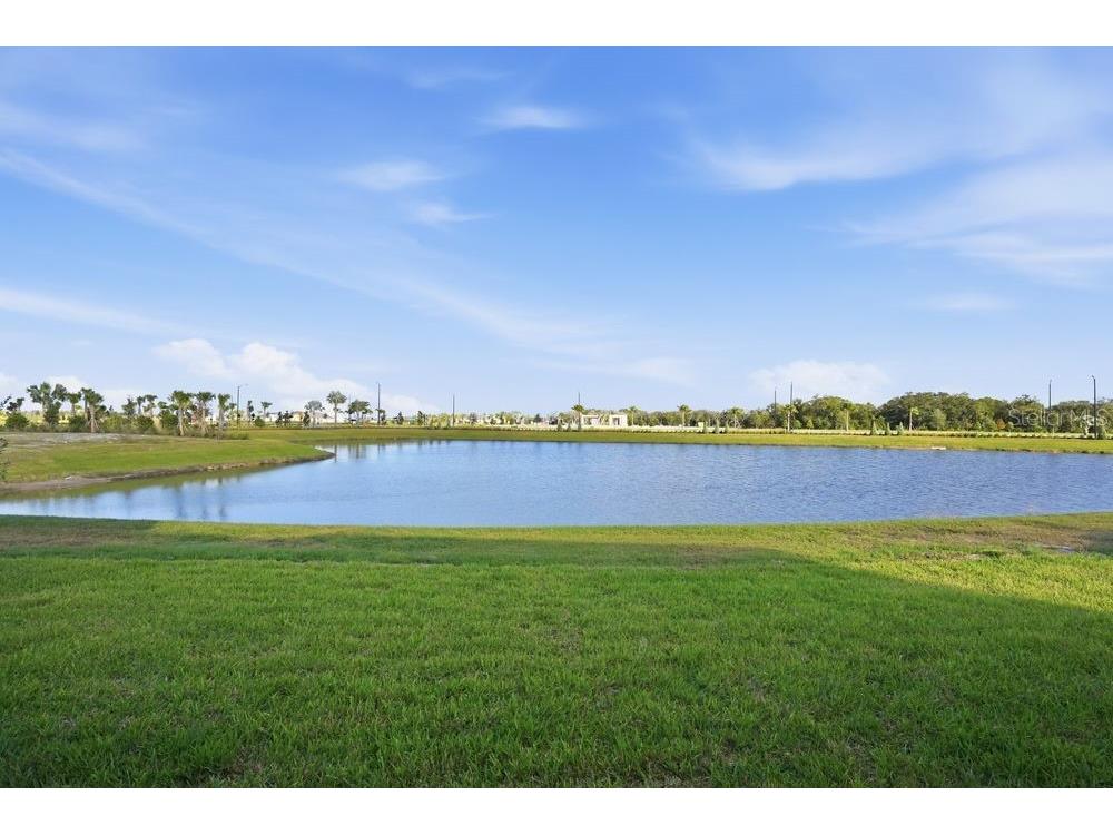 12528 Wharf Terrace Palmetto FL 34221 TB8416188 image37