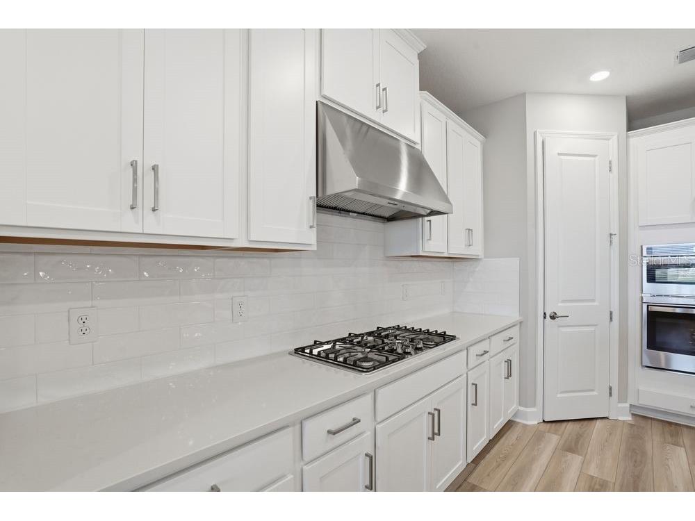12528 Wharf Terrace Palmetto FL 34221 TB8416188 image5