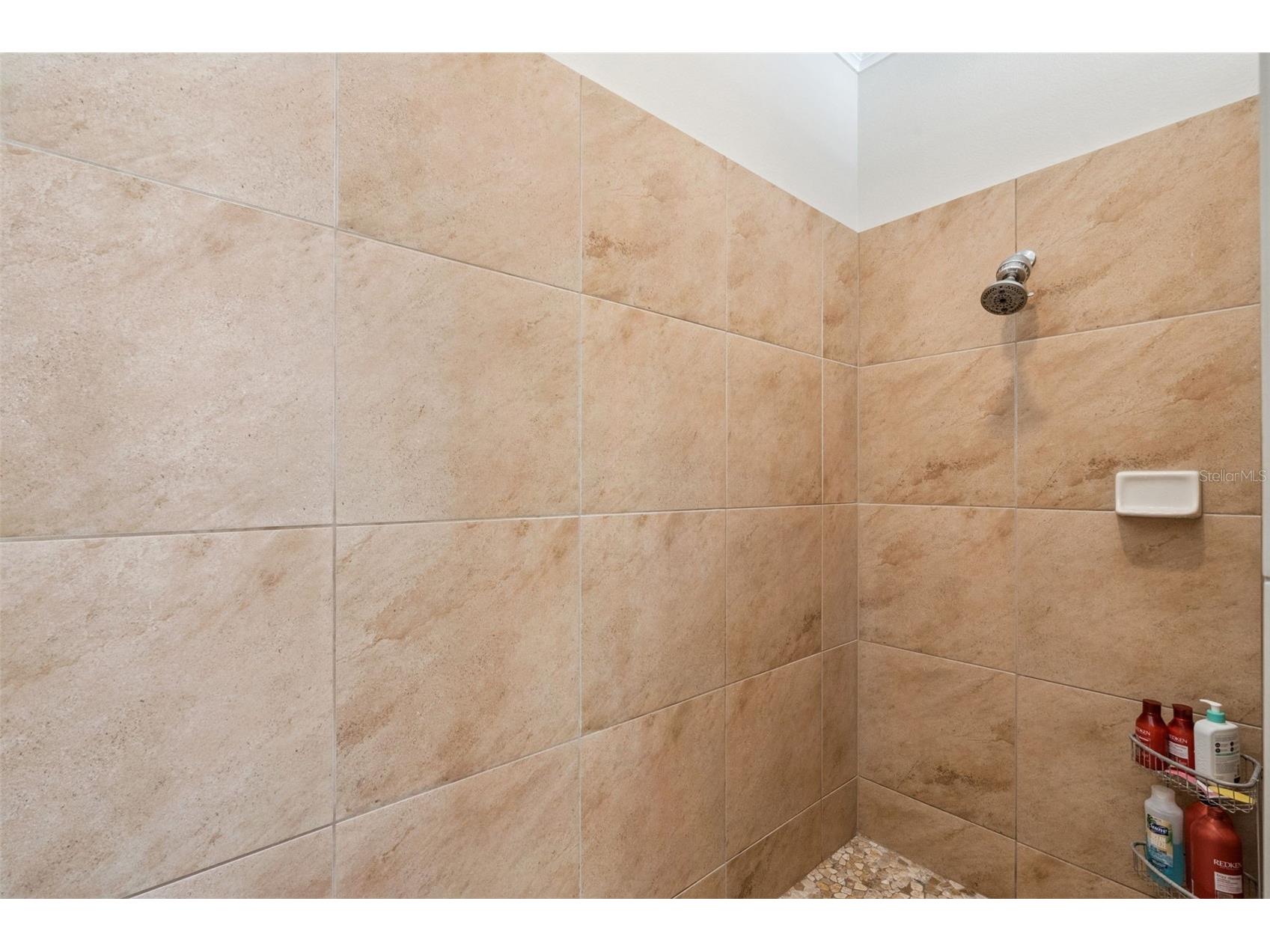 12529 Dallington Terrace Winter Garden FL 34787 O6400678 image35